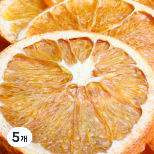 댈드 건조 과일칩 레몬, 20g, 5개