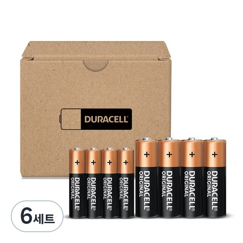 듀라셀 알카라인 건전지 보관박스팩 AA 4p + AAA 4p 세트, 6세트