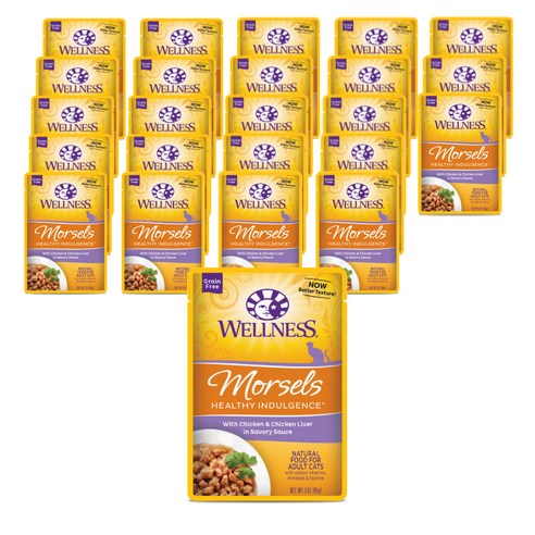 웰니스 고양이 헬시 인덜전스 머셀 습식사료 파우치, 24개, 85g, 닭고기+닭간
