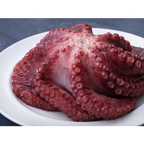 고고새우 해물 만찬으로 겨울 식탁을 따뜻하고 풍성하게 채우세요!