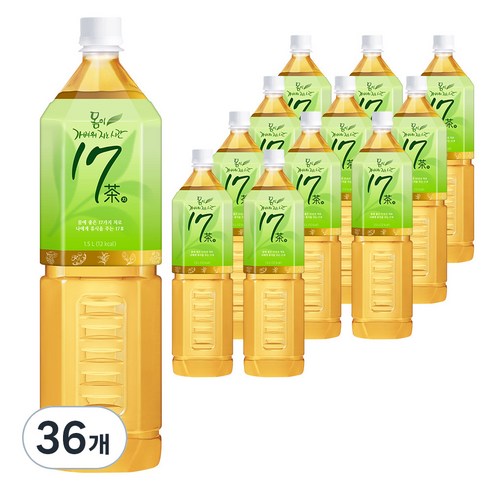 17차 몸이 가벼워지는 시간, 1.5L, 36개