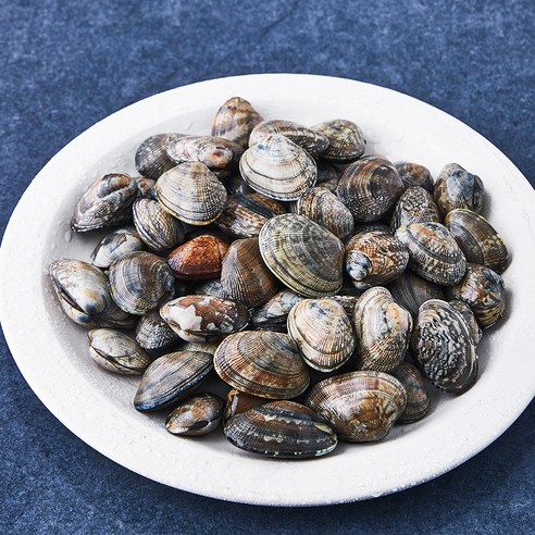 싱그러운 바다의 숨결, 곰곰 국산 참 바지락으로 식탁을 풍요롭게