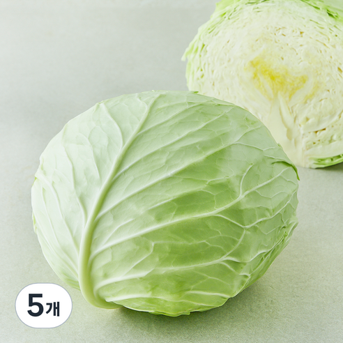 국내산 양배추 (대), 1개입, 5개