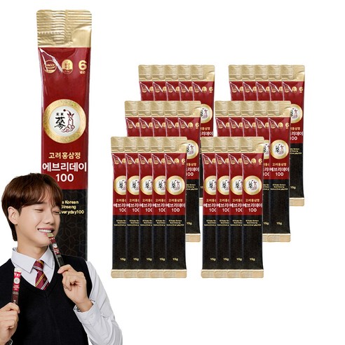풍년보감 6년근 고려홍삼정 에브리데이100, 15g, 300개