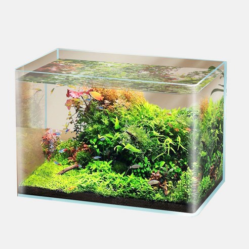 당신의 공간에 싱그러움을 더하는 수아쿠아 타나 라운드 미니 오픈 수조