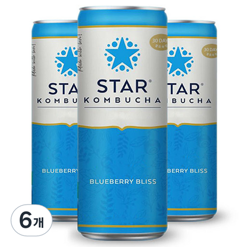 스타콤부차 블루베리 블리스, 250ml, 6개, 1개입