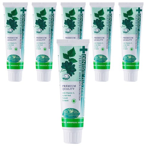 덴티스테 플러스 화이트 치약 튜브형, 100g, 6개