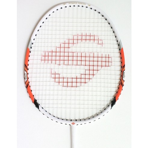 가족과 함께하는 즐거운 배드민턴