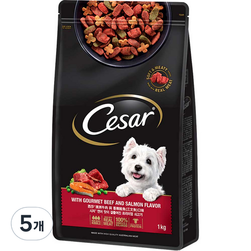 시저 어덜트 강아지 연어맛이 곁들여진 쇠고기 건식사료, 소, 1kg, 5개