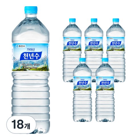 천년수 생수, 2L, 18개