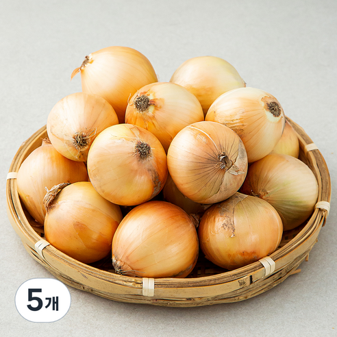 곰곰 양파(장아찌용), 3kg, 5개