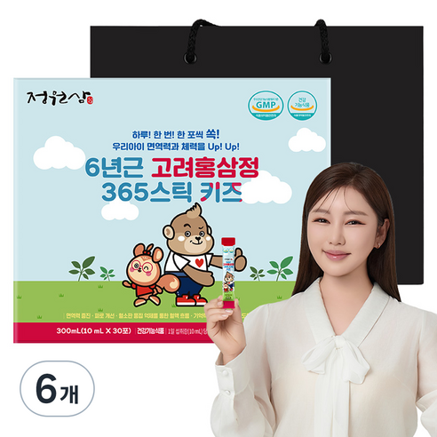 정원삼 6년근 고려홍삼정 365 스틱 키즈 30포 + 쇼핑백, 300ml, 6개