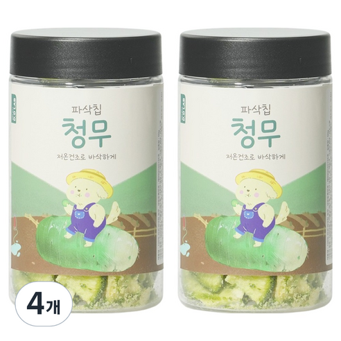 댕댕이연구소 강아지 디디랩 파삭칩 저온건조 과일 채소 간식, 4개, 50g, 청무