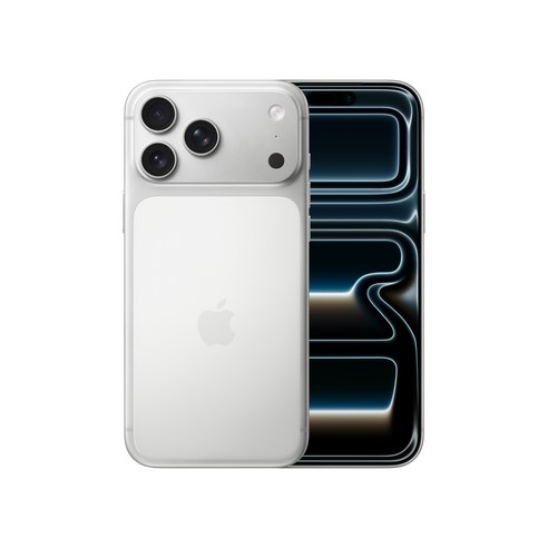 Apple 아이폰 17 Pro Max 자급제, 실버, 256GB