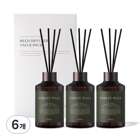 에이센트 실속형 디퓨저, 포레스트워크, 200ml, 6개