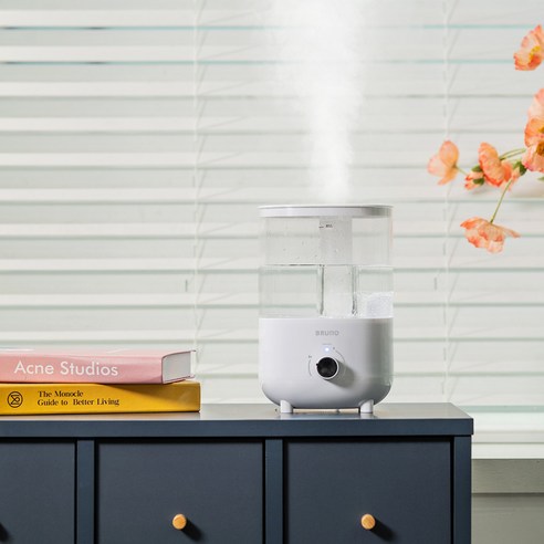 촉촉한 겨울, 스마트한 선택, BRUNO 초음파 가습기 2L