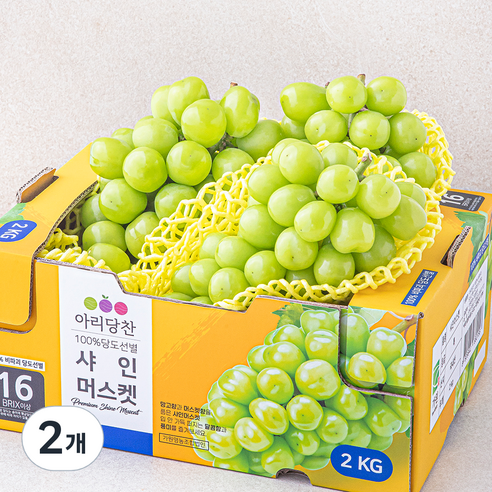 아리당찬 비파괴 당도선별 샤인머스켓, 2kg, 2개
