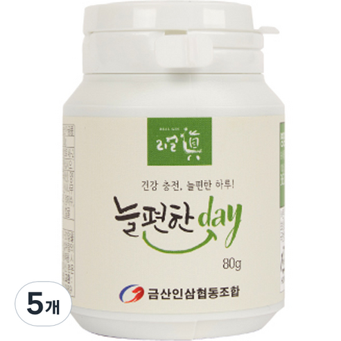 금산인삼협동조합 리얼진 늘편한 day 800p, 80g, 5개