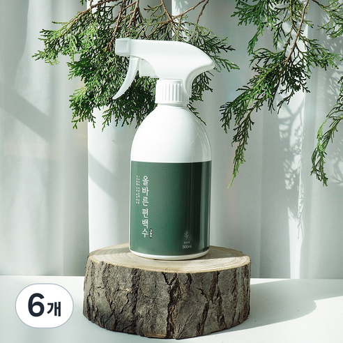 페인트인포 올바른 고농도 편백수 스프레이 탈취제, 500ml, 6개