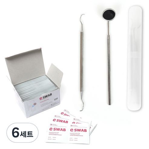 치석 제거기 세트 탐침 B타입 + 치경 + 케이스 + 알콜솜 랜덤발송 100p, 6세트