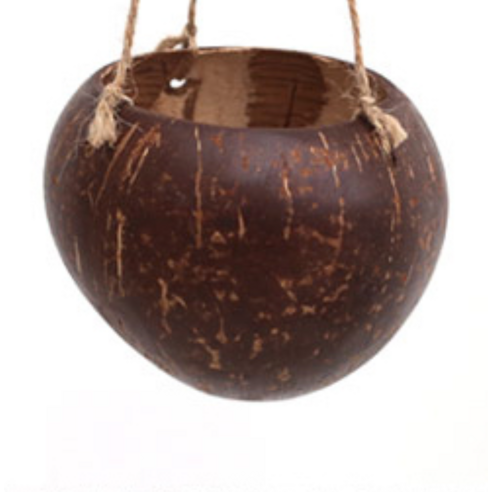 園藝 園藝 用品 園藝 花盆 園藝 花盆 花盆 花盆