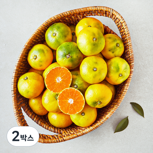 제이드가든 감귤, 2박스, 2.5kg