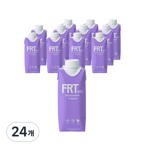프루티 망고스틴 트로피컬, 24개, 330ml