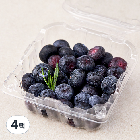 곰곰 친환경 블루베리, 100g, 4팩
