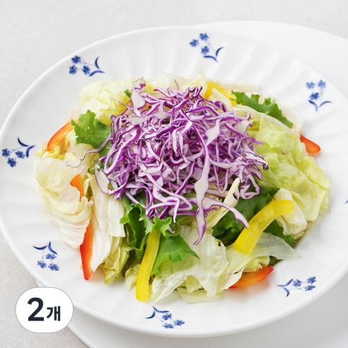 저스트그린 데일리 가든샐러드, 750g, 2개