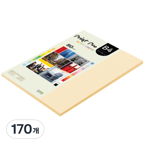 종이문화 프린트 프로 칼라 복사용지 No 02 아이보리 80g, B4, 170개