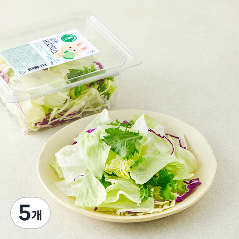 그린래빗 실속 베지믹스, 100g, 5개
