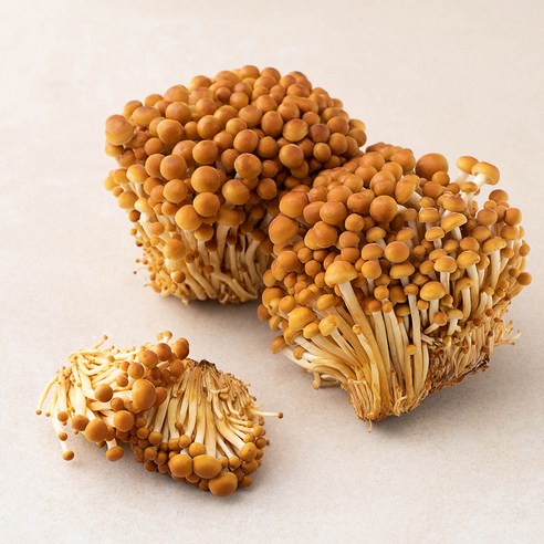 국내산 친환경 갈색 팽이버섯, 400g, 1개, 400g × 1개이라는 상품의 현재 가격은 2,640입니다.