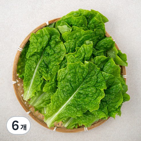 곰곰 청상추, 500g, 6개