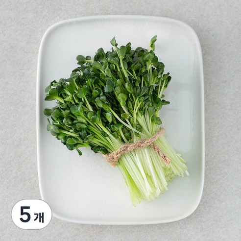 국내산 무농약 무순, 60g, 5개