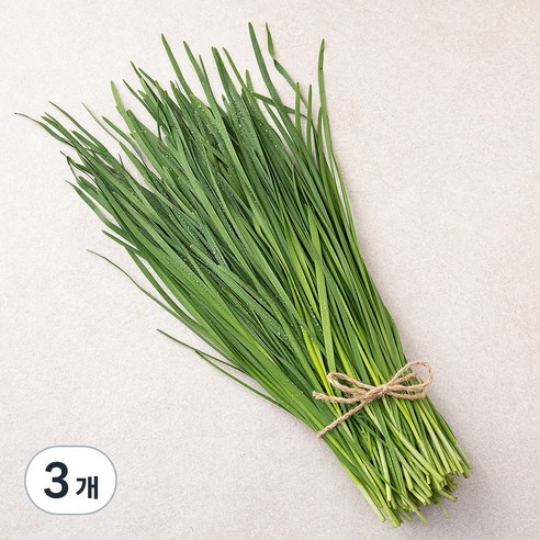 국내산 친환경 부추, 200g, 3개