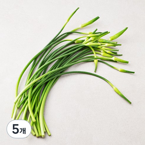 남해 마늘종, 200g, 5개