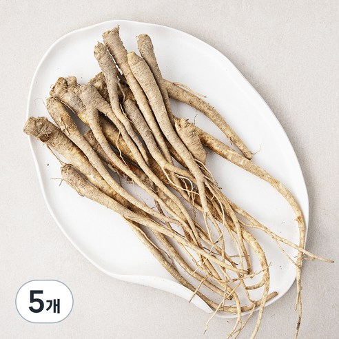 친환경 피도라지, 300g, 5개