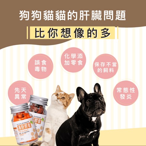 保健品 肝炎病寵保健 犬隻用品 寵物用品