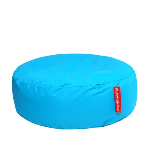 반려견과 함께하는 편안한 일상