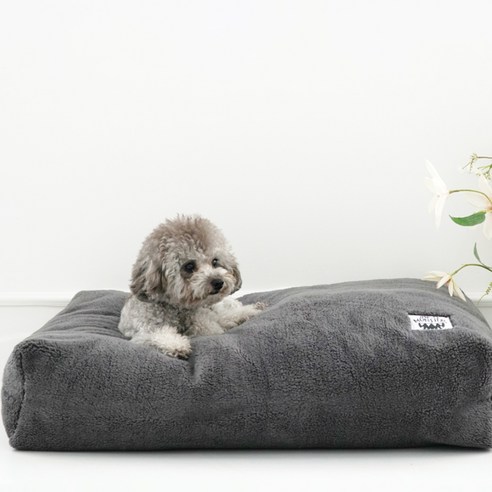 퍼피엔젤 반려동물 MONSTERS Boa Square Cushion PA-BD130, 801 GR