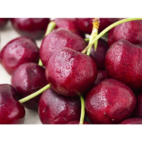 붉은 유혹, PSK 항공직송 다크체리로 일상에 달콤한 행복을 더하세요.