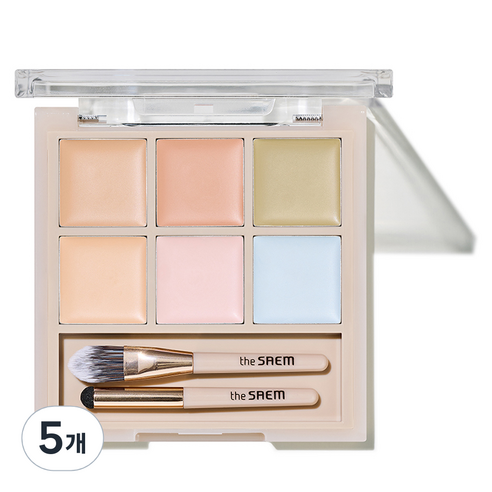 더샘 커버 퍼펙션 컨실러 팔레트 12g, 02 커버 앤 라이트, 5개