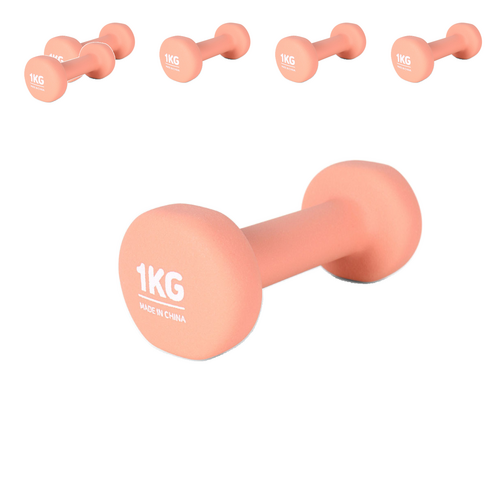 에르고기어 네오프렌 아령, 1kg, 6개