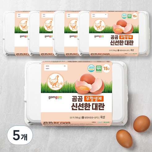 곰곰 무항생제 신선한 대란, 15구, 5개