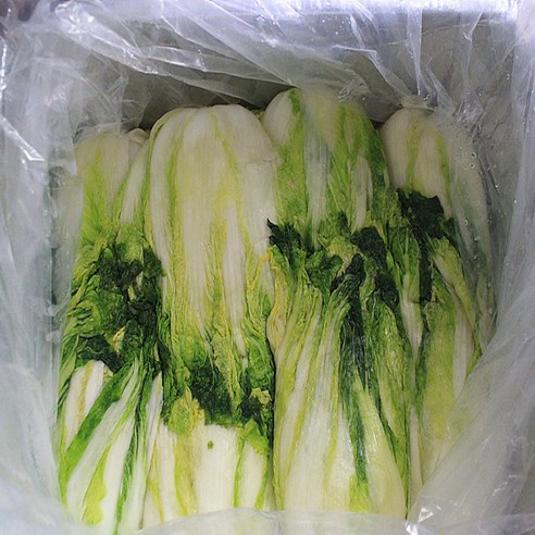 泡菜袋 泡菜塑料 泡菜袋 泡菜袋 食品袋 衛生塑料 泡菜袋 廚具 泡菜塑料 廚具