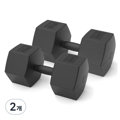 이고진 블랙육각 덤벨 아령, 10kg, 4개