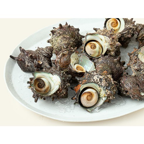 싱싱한 남해안 뿔소라, 집에서 즐기는 바다의 맛