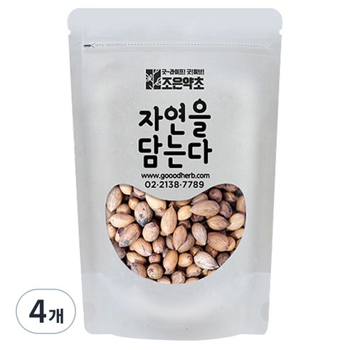 조은약초 자연을 담는다 프리미엄 비자열매, 300g, 4개