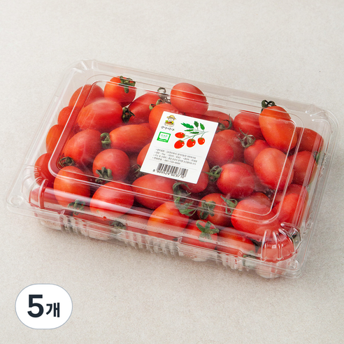 광식이농장 GAP 인증 대추 방울 토마토, 1kg, 5개