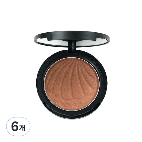 애리조 쉬머 파우더 팩트10g, No2 브론즈, 6개